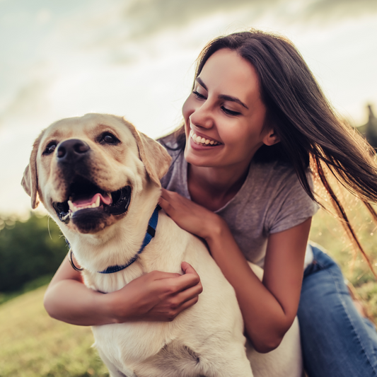 detergente per occhi cani