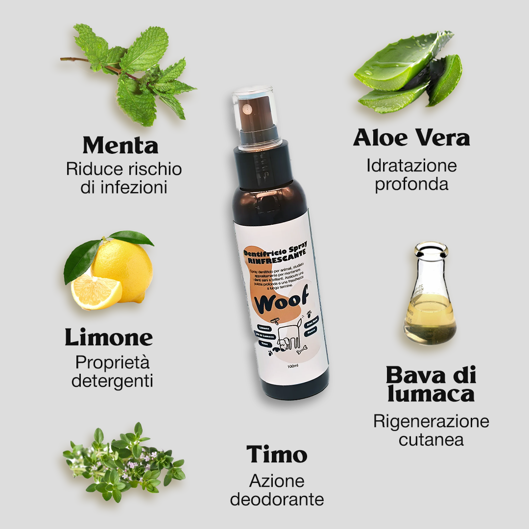 Dentifricio Spray Rinfrescante