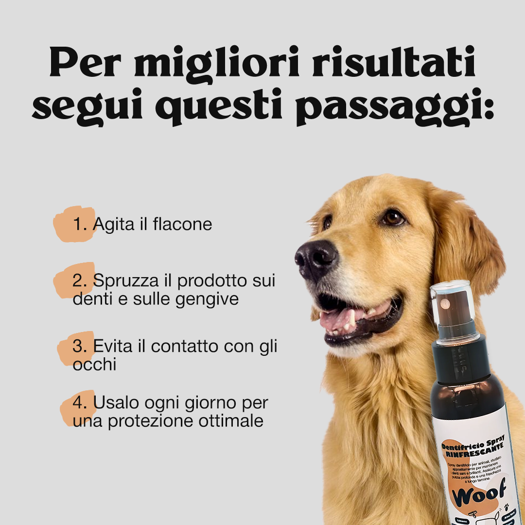 Kit Pulizia Woof